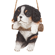 Image Thumbnail for KING CHARLES CAVALIER PUPPY ON A PERCH HANGING